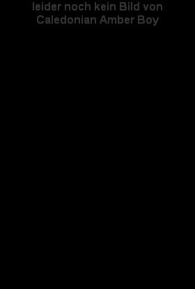 B�rchen