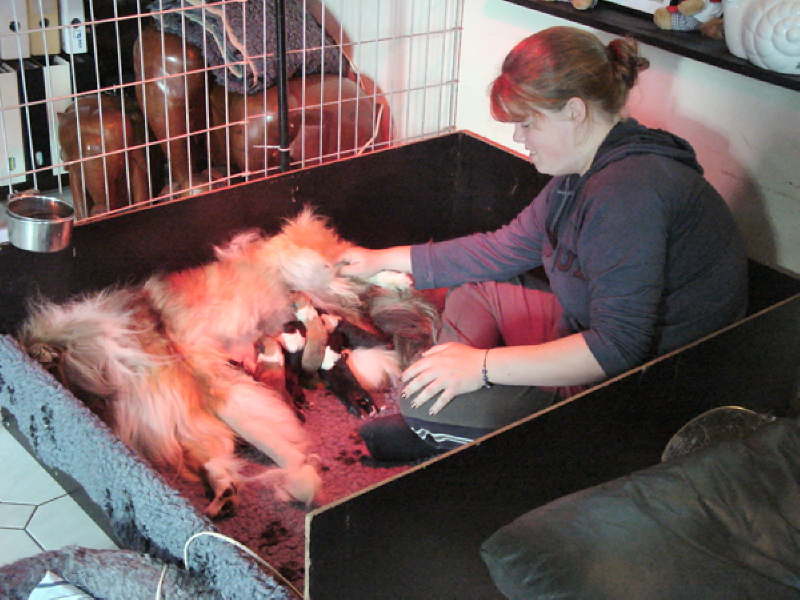 Fiona, die stolze Ziehmama und Hebamme.