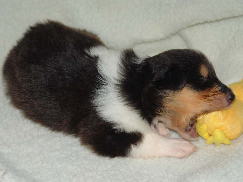 30. Juni 2009