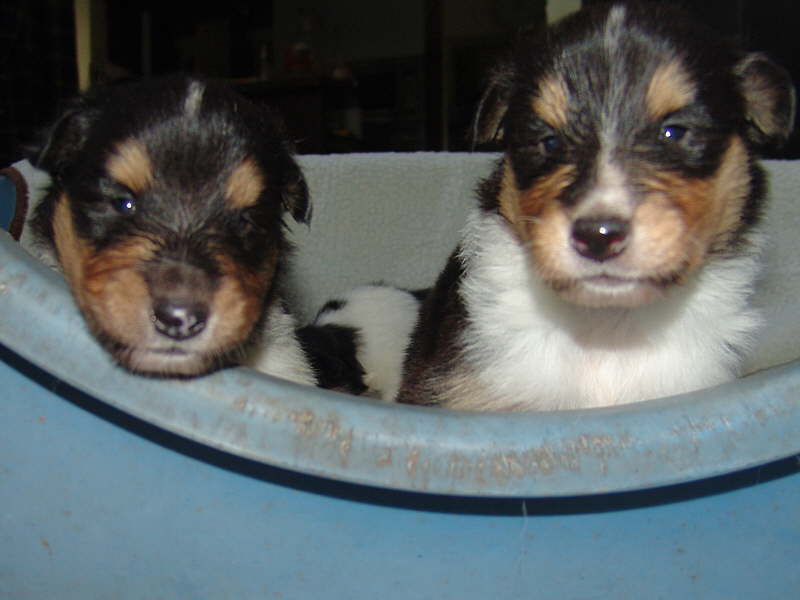 30. Juni 2009
