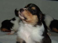 30. Juni 2009