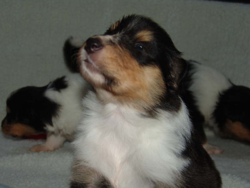 30. Juni 2009