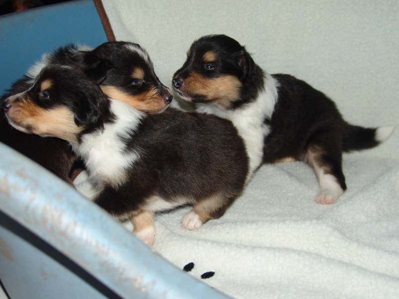 30. Juni 2009