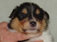 30. Juni 2009