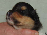 30. Juni 2009
