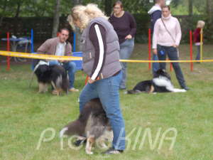 Dogdancing