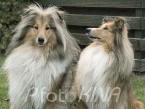 Lissy und Yuma
