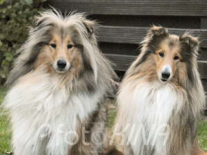 Lissy und Yuma