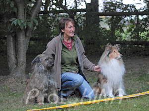 Hunderennen
