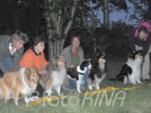 Hunderennen