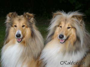 Yuma und Lissy