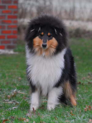 Darby