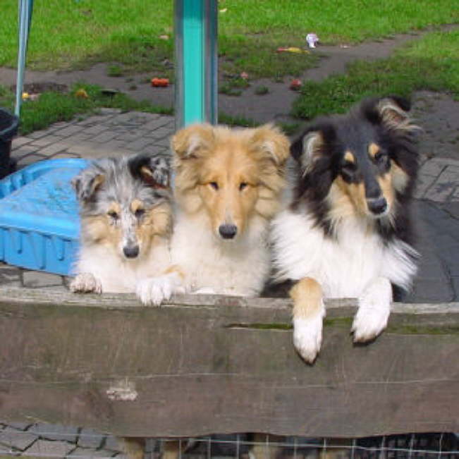 Noch ein Trio: Ocean, Yuma, Yentl