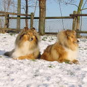 Eliza und Queeny