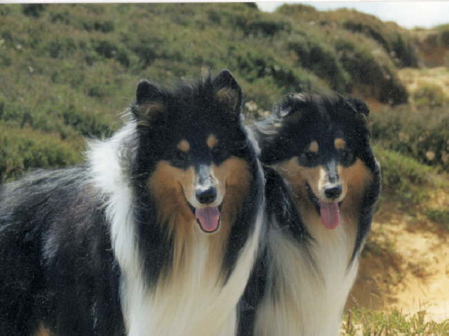  Luca und Noa