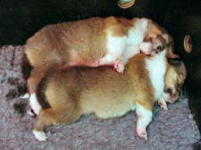 9. Juni 2004
