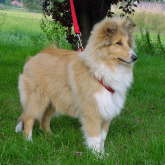 Yuma