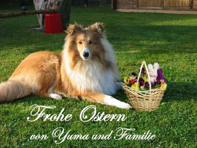 Ostergru� von Yuma
