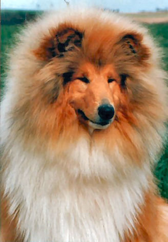 Nash